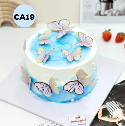 Bánh kem sinh nhật mẫu CA19
