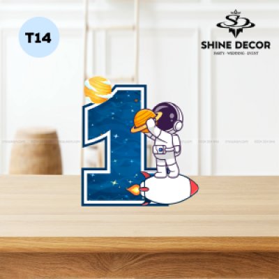 Mô Hình Số Tuổi Bé - T14