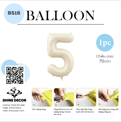 Bóng kiếng số cát cháy - BS16