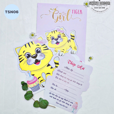 Thiệp sinh nhật - TSN06