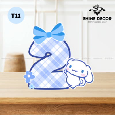 Mô Hình Số Tuổi Bé - T11