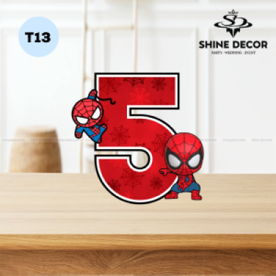 Mô Hình Số Tuổi Bé - T13