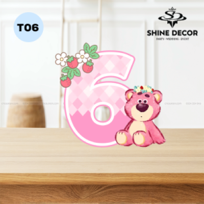 Mô Hình Số Tuổi Bé - T06