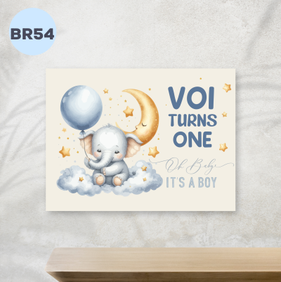 Backdrop Sinh Nhật - BR54