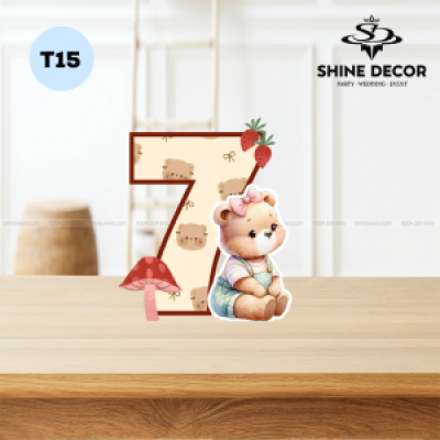 Mô Hình Số Tuổi Bé - T15